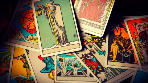 Health & Wellness Guidance